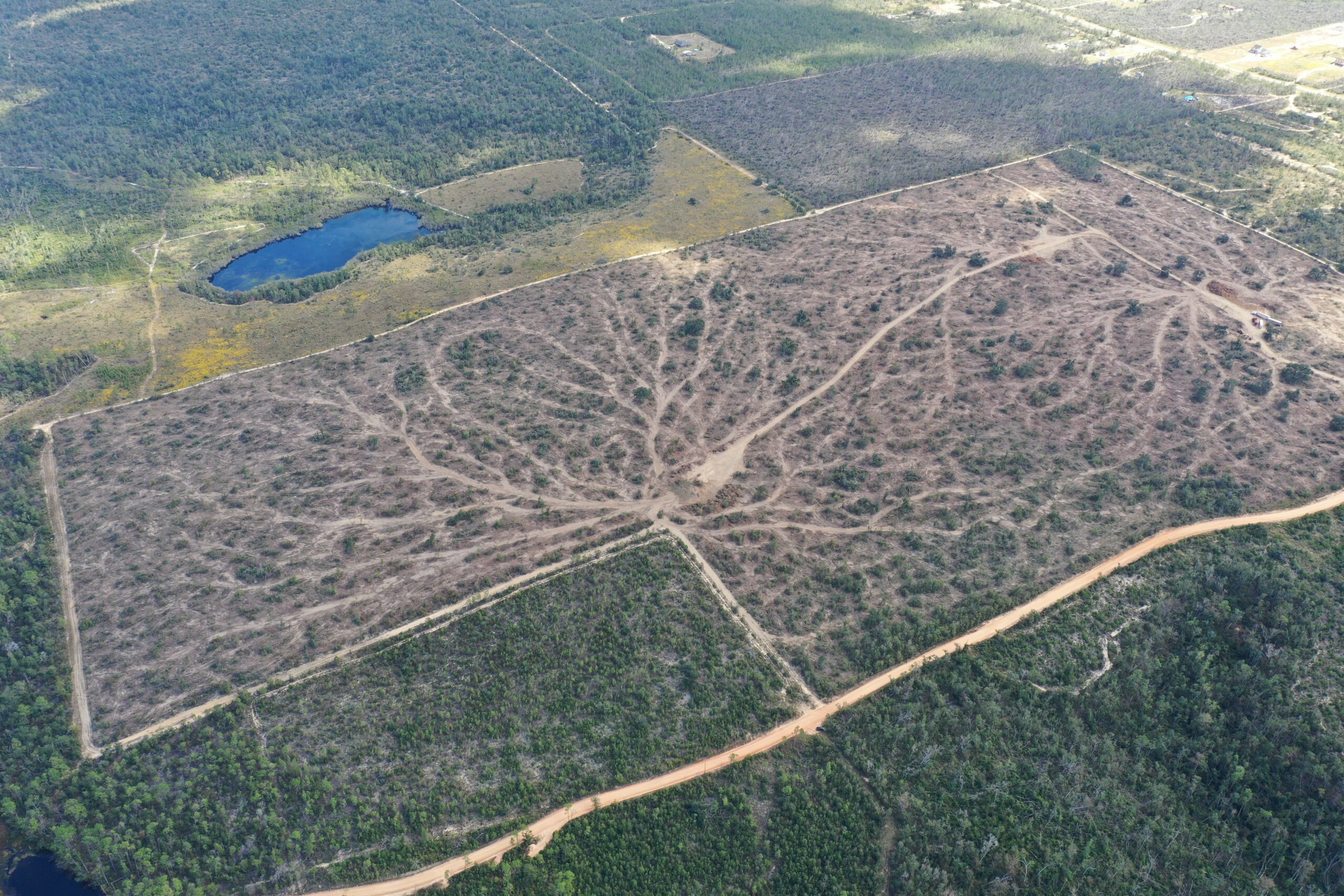 160 Acres on N. Blue Springs Rd., surrounded by 46,000 acre state