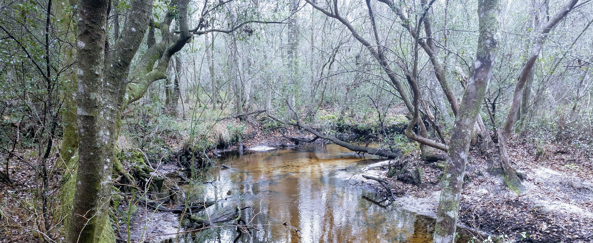 Bay County Florida Land For Sale - Lots, Farms, Ranches, and other land parcels for sale